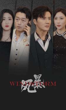 风暴（77集）热门短剧大全