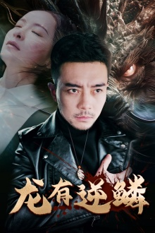 龙有逆鳞（81集）看过的人都说好