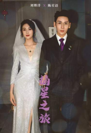 摘星之旅(88集) 摘星之旅(88集)精彩短剧天天看