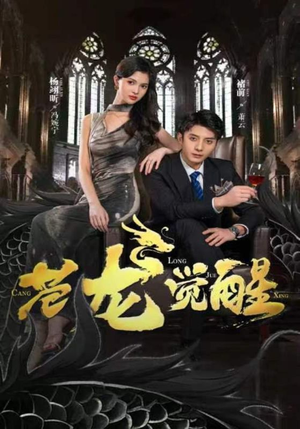 苍龙觉醒（100集）演员表