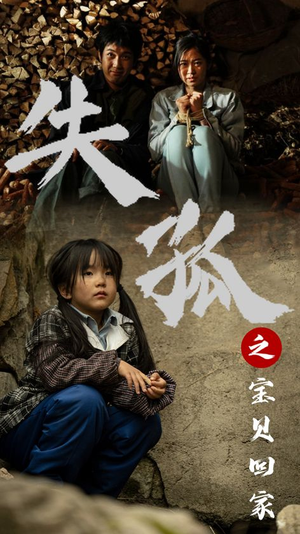 失孤之宝贝回家(71集) 失孤之宝贝回家(71集)免费在线看全集