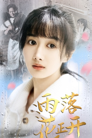 雨落花正开(62集) 雨落花正开(62集)超爽短剧推荐