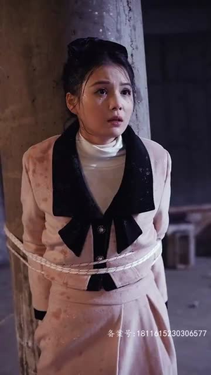 念念不相忘（60集）百度网盘资源