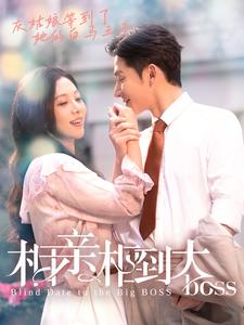 相亲相到大boss（101集）真的好看吗