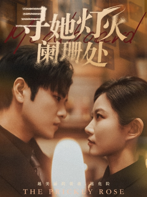 寻她灯火阑珊处（61集）无需充值尽情看