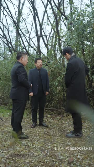 判官之怒火重生（98集）今日最火短剧