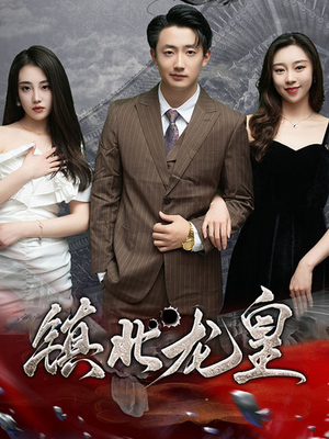 镇北龙皇(97集) 镇北龙皇(97集)全集免费观看