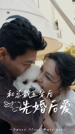 和总裁互穿后先婚后爱（60集）超甜短剧分享