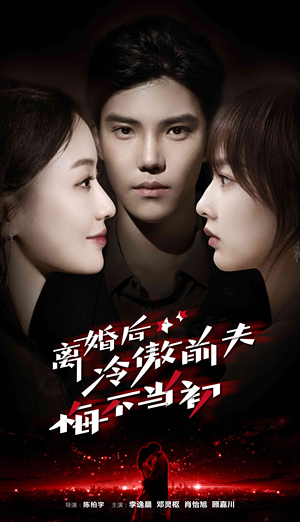 离婚后冷傲前夫悔不当初（83集）古装短剧热播