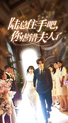 陆总住手吧,你虐错夫人了(80集) 陆总住手吧,你虐错夫人了(80集)百度网盘在线看