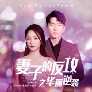 妻子的反攻之华丽逆袭（30集）深深爱上这部剧