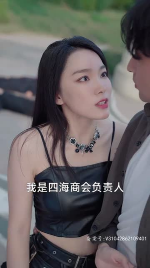 女总裁的上门女婿（104集）最后一集