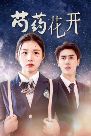 芍药花开（77集）短剧免费看全集