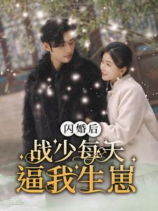 闪婚后战少每天逼我生崽（91集）高分推荐免费看
