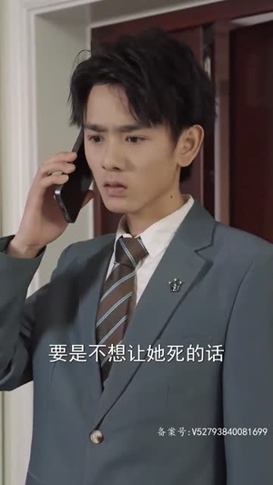 我成了段总的腹黑女保镖(67集) 我成了段总的腹黑女保镖(67集)高清画质免费看