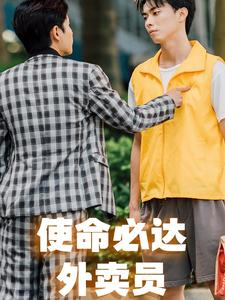 使命必达外卖员（31集）热门短剧大全