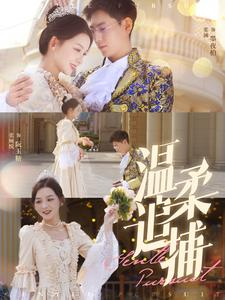 温柔追捕（89集）古代短剧推荐