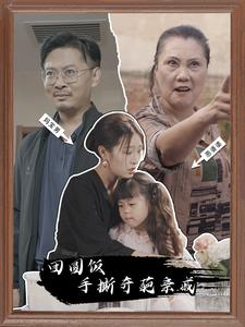 团圆饭手撕奇葩亲戚（40集）热门短剧排行榜