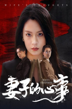 妻子的心事(60集) 妻子的心事(60集)在线看
