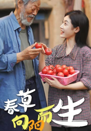 春草向阳而生(53集) 春草向阳而生(53集)评价怎么样