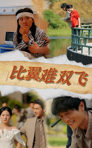 比翼难双飞（30集）热门短剧推荐