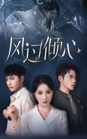 风过倾心（62集）360网盘观看
