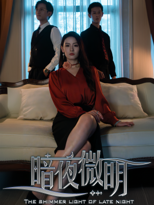 暗夜微明（70集）无需充值尽情看