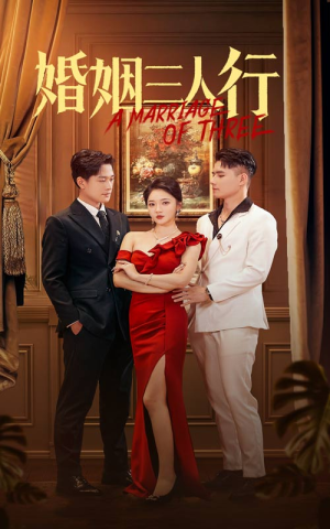 婚姻三人行(31集) 婚姻三人行(31集)在线看免费版