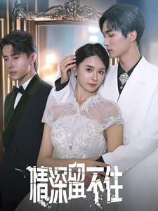 情深留不住（80集）每日短剧推荐