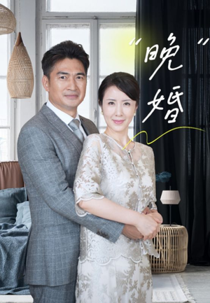 晚婚（65集）热播短剧抢先看