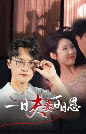 一日夫妻百日恩（30集）第二季