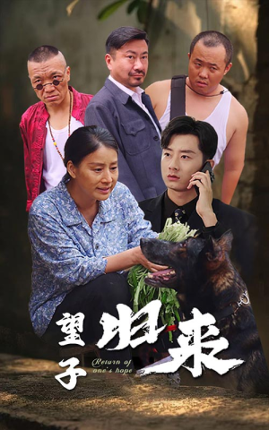 望子归来（50集）好看短剧抢先看