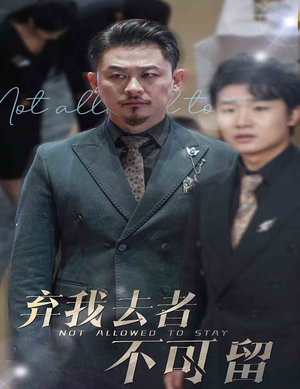 弃我去者不可留（60集）精彩热门短剧