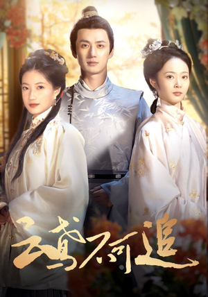 云鸢不可追（42集）热播古装短剧