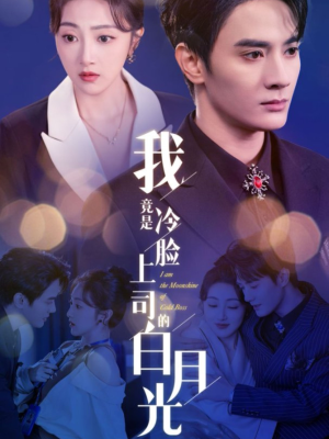 我竟是冷脸上司的白月光(80集) 我竟是冷脸上司的白月光(80集)在哪个平台看