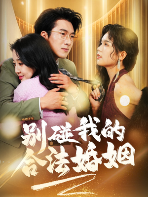别碰我的合法婚姻（30集）好看短剧抢先看