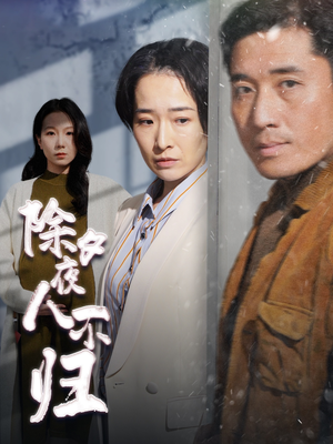 除夕夜人不归（47集）好看到停不下来