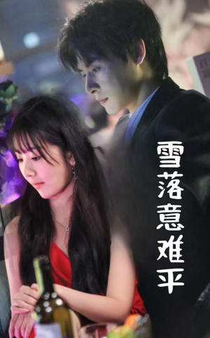 雪落意难平（35集）独家内容免费看
