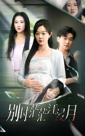 别时茫茫江浸月（30集）深深爱上这部剧