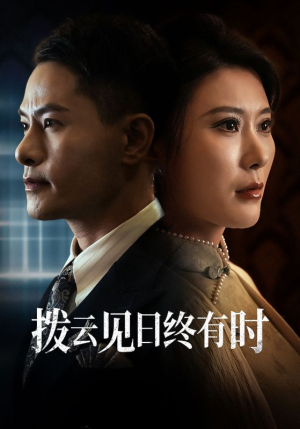 拨云见日终有时(30集) 拨云见日终有时(30集)大结局太过瘾了