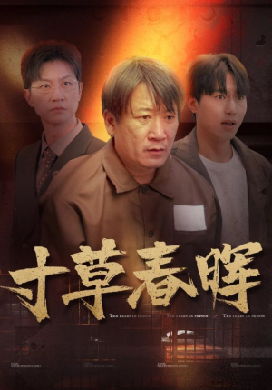 寸草春晖（31集）无需会员轻松看