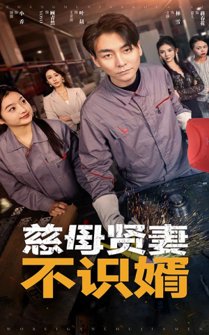 慈母贤妻不识婿（45集）精彩短剧分享