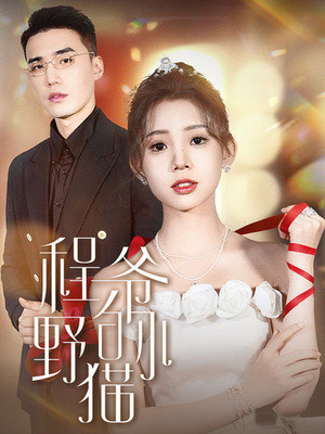 程爷的小野猫（40集）精彩短剧抢先看