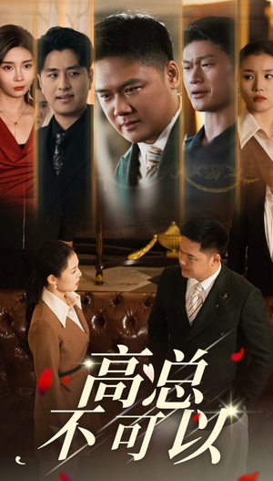 高总不可以（45集）完整版免费观看