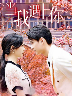 当我遇上你(100集) 当我遇上你(100集)高清画质免费看