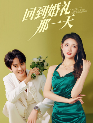 回到婚礼那一天（88集）评价怎么样