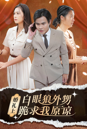 婚礼上白眼狼外甥跪求我原谅（35集）热播短剧重燃