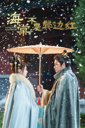 人生若只如初见（30集）迅雷网盘观看