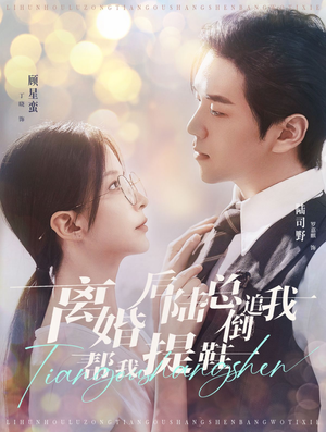 离婚后陆总倒追我帮我提鞋（100集）短剧小说在线看