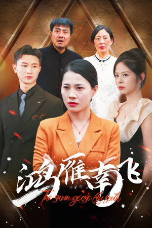 鸿雁南飞（64集）好看的短剧推荐